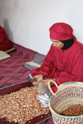 Coopérative huile d'argan